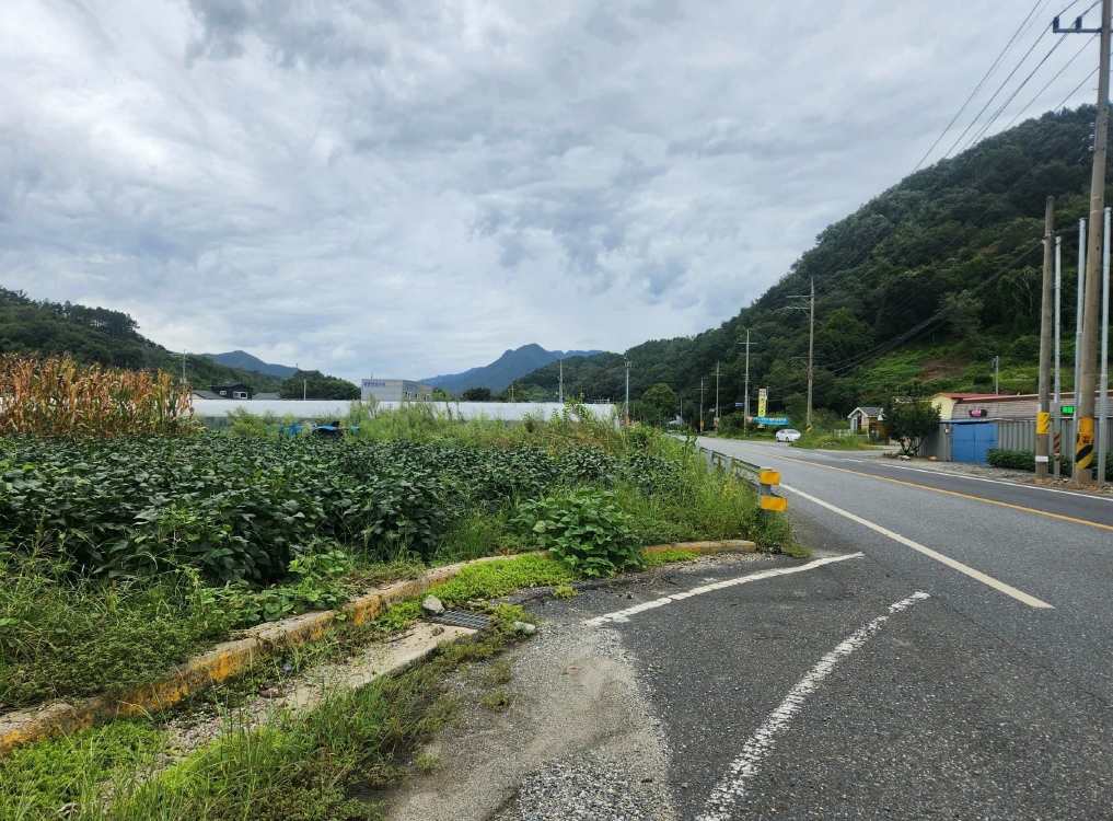 충청남도 금산군 진산면 교촌리 173 답 경매 사진 22