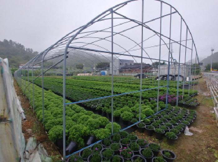 충청남도 금산군 진산면 교촌리 173 답 경매 사진 39