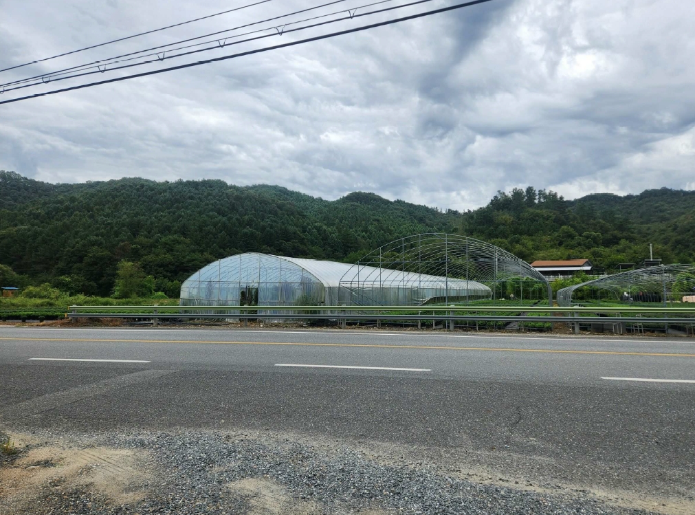 충청남도 금산군 진산면 교촌리 173 답 경매 사진 23