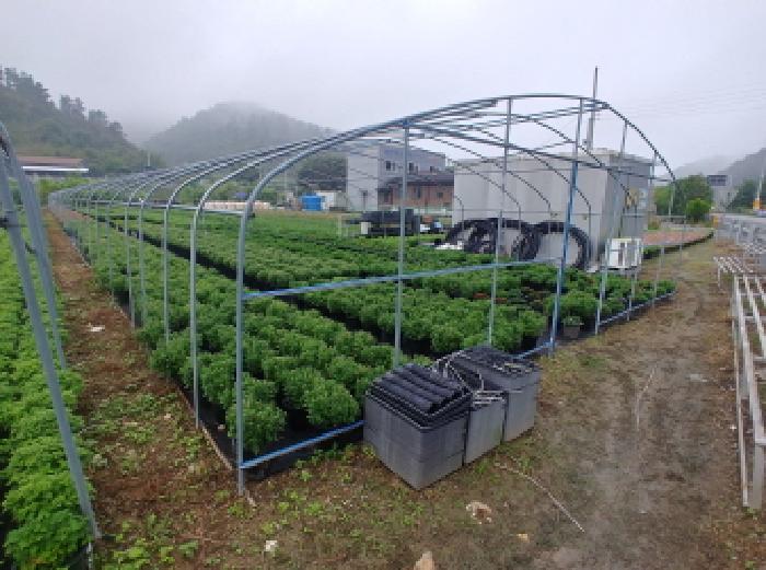 충청남도 금산군 진산면 교촌리 173 답 경매 사진 41