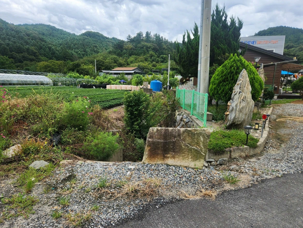 충청남도 금산군 진산면 교촌리 173 답 경매 사진 25