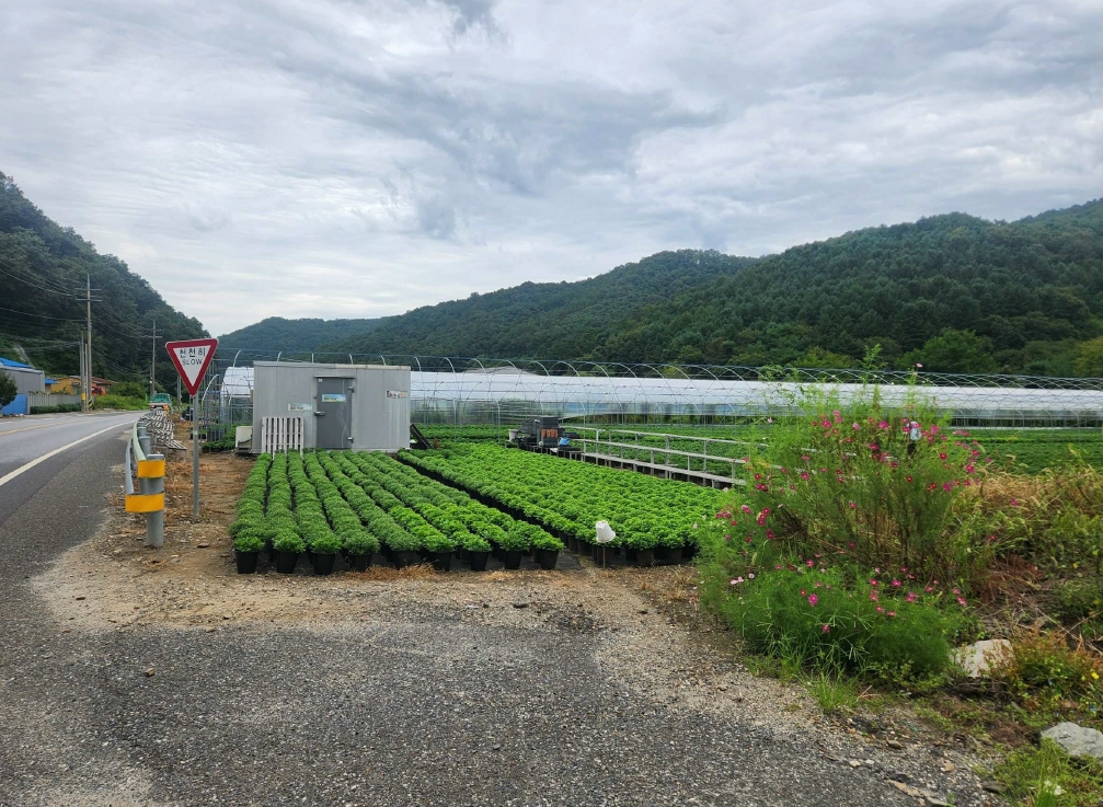 충청남도 금산군 진산면 교촌리 173 답 경매 사진 26