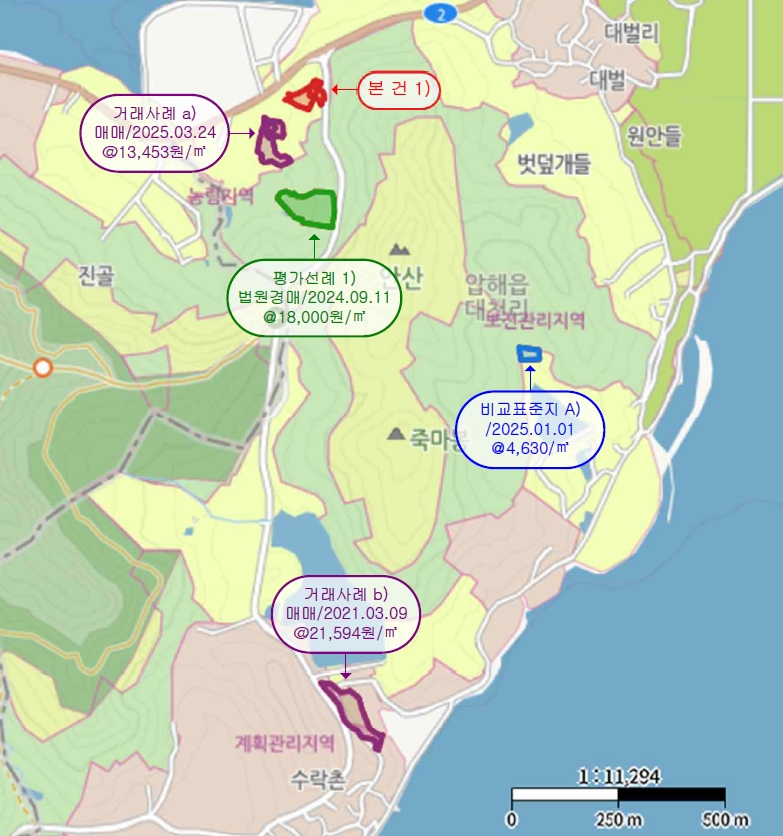 전라남도 신안군 압해읍 대천리 793-36 임야 경매 사진 20