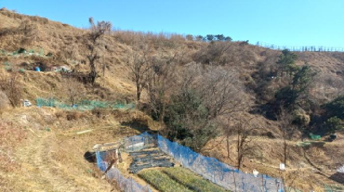 경상남도 거제시 옥포동 739 전 경매 사진 1