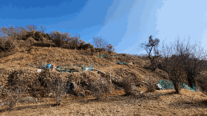 경상남도 거제시 옥포동 739 전 경매 사진 4