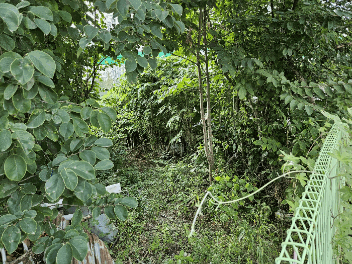충청남도 천안시 동남구 대흥동 155-1 대지 경매 사진 16