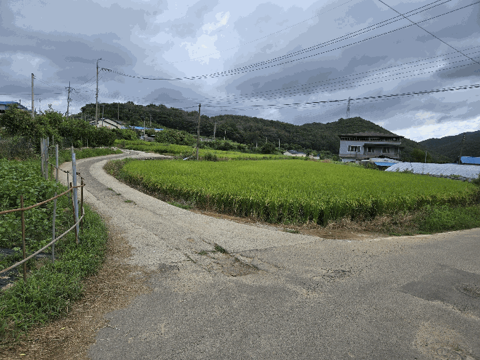 경상북도 경주시 외동읍 녹동리 504-4 전 경매 사진 9