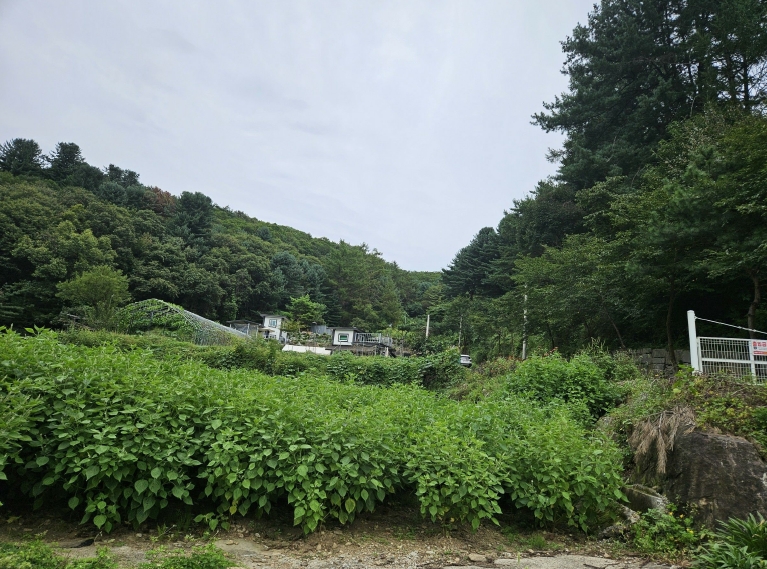 경기도 동두천시 광암동 32 전답 경매 사진 8