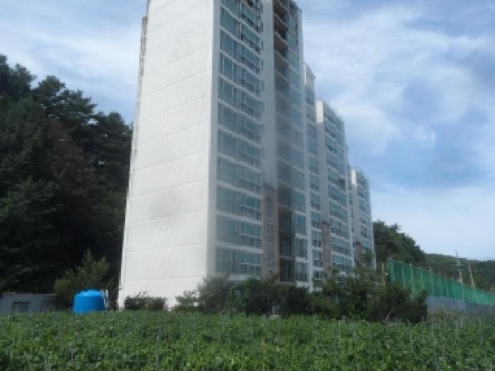 강원특별자치도 평창군 용평면 장평리 669-1 외 73개호 외 3필지 아파트 경매 사진 61