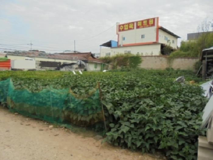 충청북도 청주시 서원구 남이면 가좌리 100-2 대지 경매 사진 9