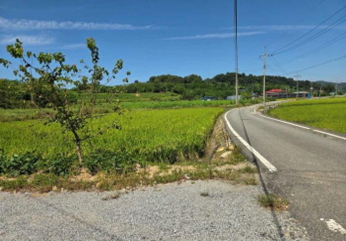 충청남도 아산시 신창면 신달리 472 전 경매 사진 20
