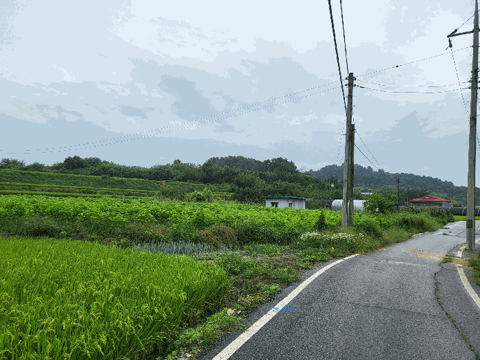 충청남도 아산시 신창면 신달리 472 전 경매 사진 21
