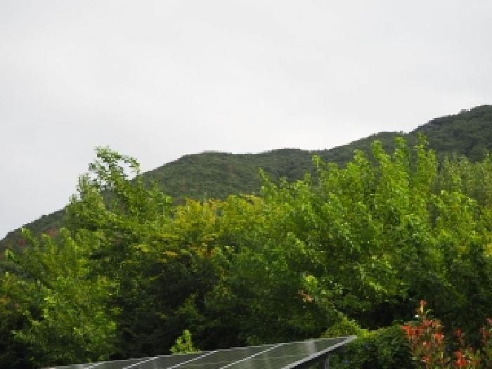 경상남도 창녕군 영산면 교리 64 전 경매 사진 17