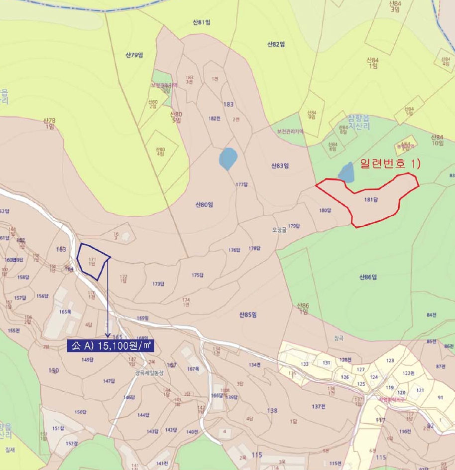전라남도 무안군 삼향읍 지산리 181 답 경매 사진 15