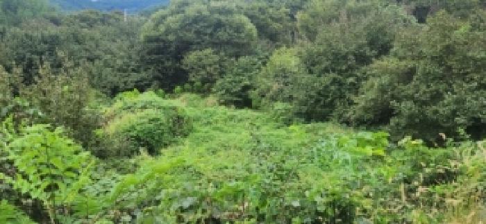 전라남도 구례군 산동면 계천리 79 답 경매 사진 18