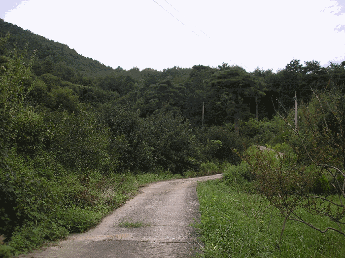전라남도 구례군 산동면 계천리 79 답 경매 사진 19