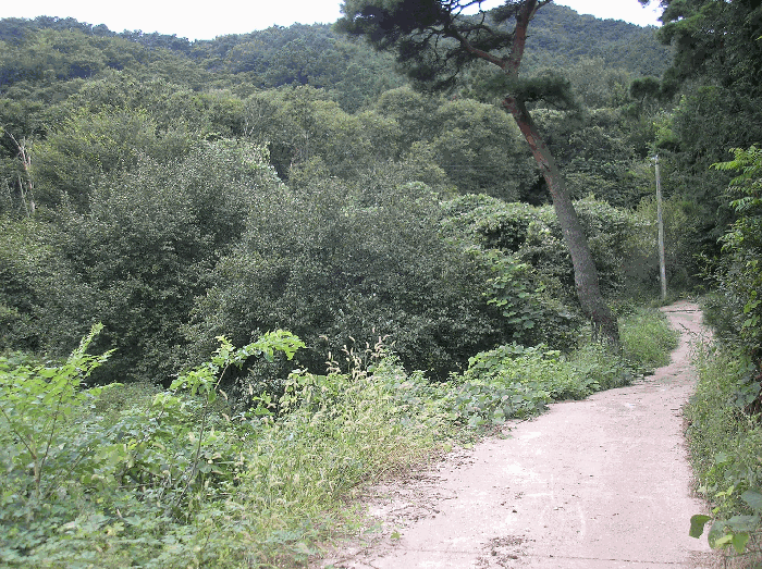 전라남도 구례군 산동면 계천리 79 답 경매 사진 23