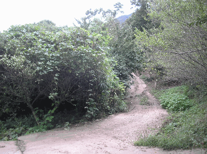 전라남도 구례군 산동면 계천리 79 답 경매 사진 24