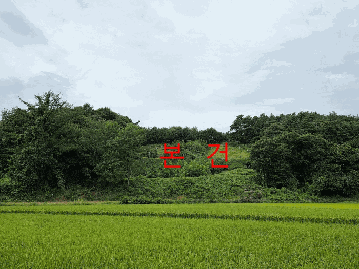 전북특별자치도 임실군 지사면 안하리 산126 임야 경매 사진 27