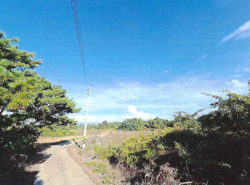 제주특별자치도 제주시 한경면 용수리 3958-3 임야 경매 사진 12