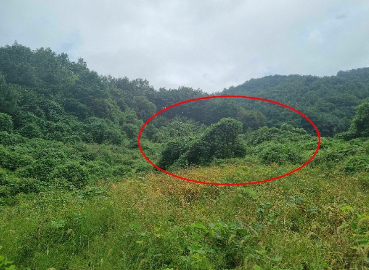 충청북도 보은군 산외면 백석리 8-18 전 경매 사진 3