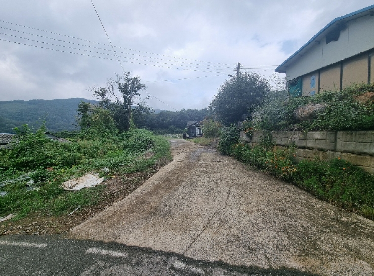 충청북도 보은군 산외면 백석리 8-18 전 경매 사진 5
