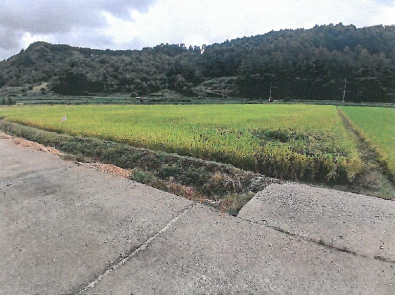 충청북도 청주시 상당구 미원면 기암리(基岩) 251-1 답 경매 사진 3