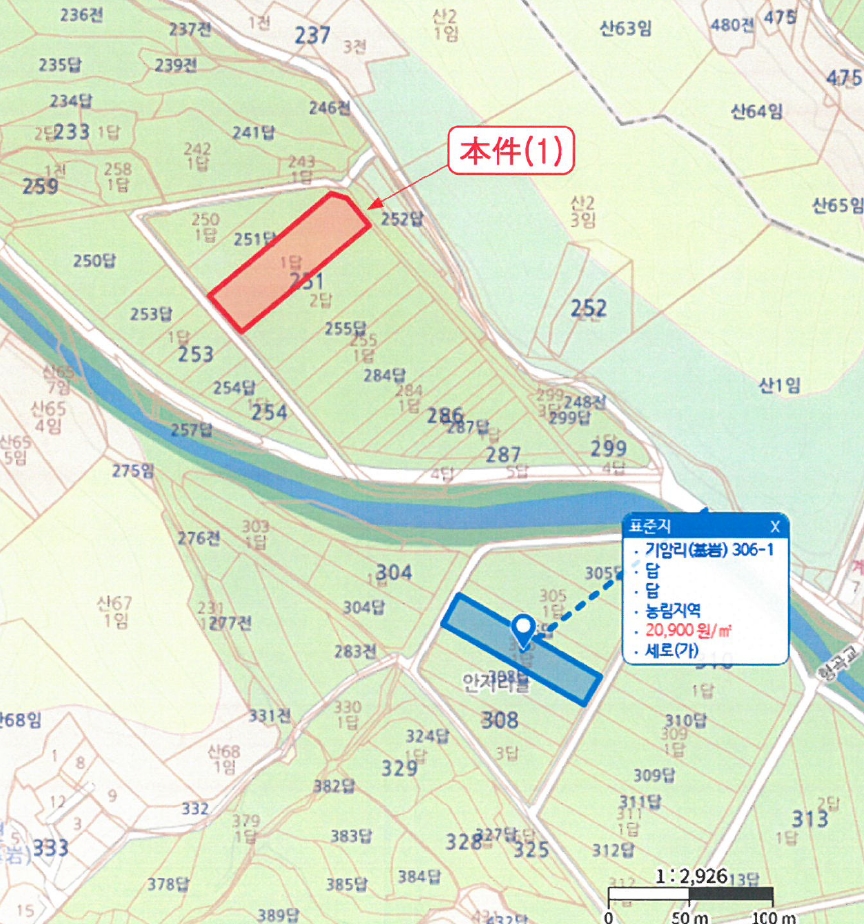 충청북도 청주시 상당구 미원면 기암리(基岩) 251-1 답 경매 사진 8