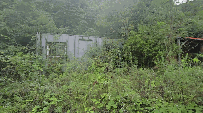 충청북도 단양군 적성면 하리 635 전 경매 사진 45