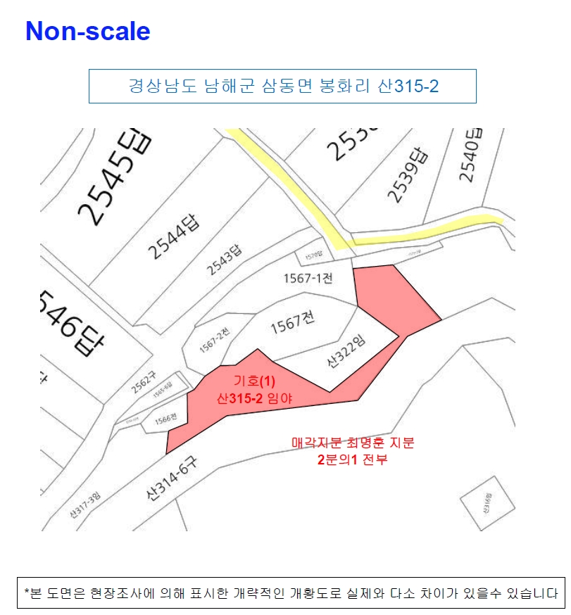 경상남도 남해군 삼동면 봉화리 산315-2 임야 경매 사진 15