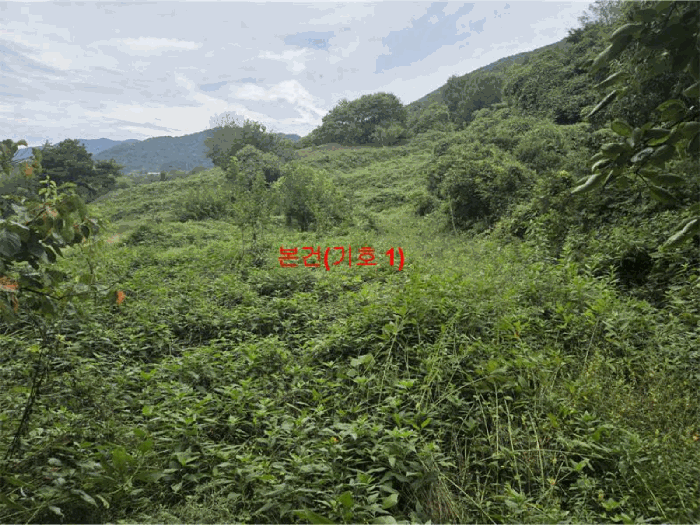 경상남도 함양군 병곡면 옥계리 438 전 경매 사진 8