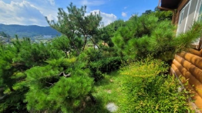 경상남도 함안군 산인면 송정리 341-1 주택 경매 사진 20