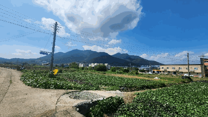 경상남도 고성군 거류면 신용리 279-1 전 경매 사진 14