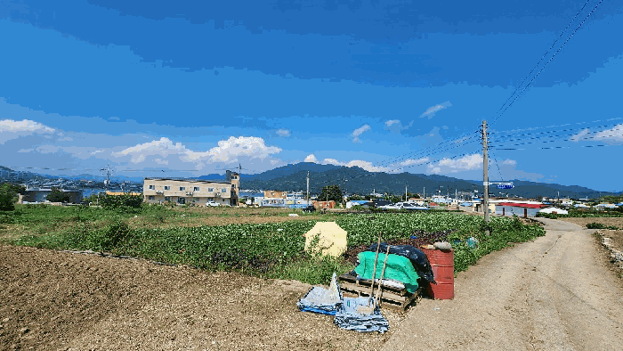 경상남도 고성군 거류면 신용리 279-1 전 경매 사진 15