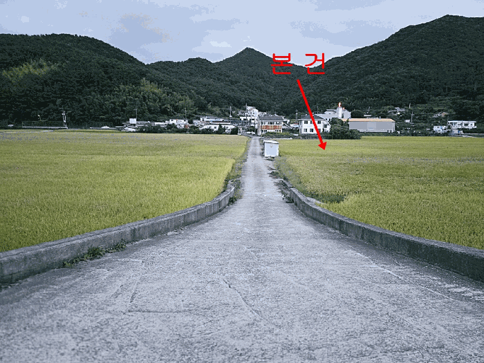 경상남도 거제시 연초면 연사리 137-5 답 경매 사진 16