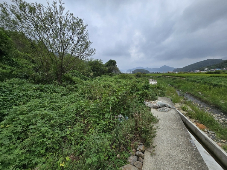 경상남도 거제시 남부면 탑포리 175 답 경매 사진 8