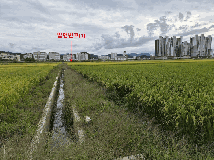 전북특별자치도 정읍시 농소동 33-91 답 경매 사진 7
