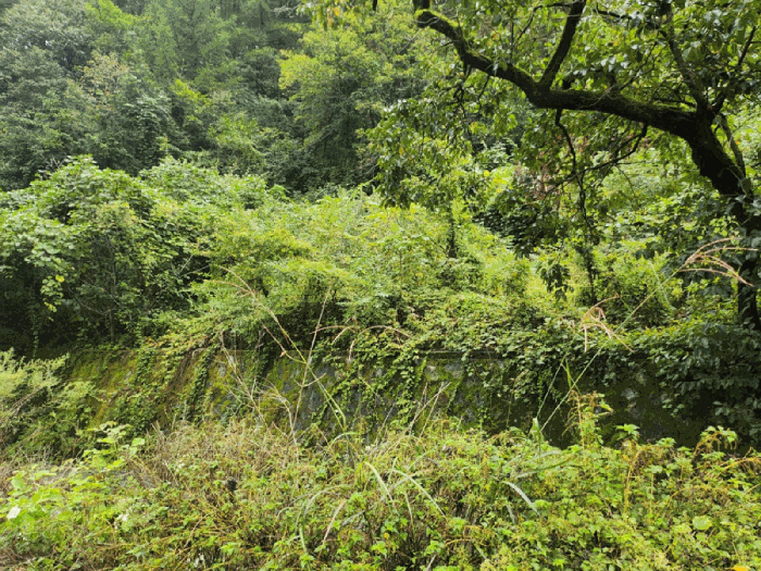 충청북도 제천시 한수면 송계리 920 전 경매 사진 24