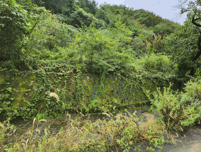 충청북도 제천시 한수면 송계리 920 전 경매 사진 25