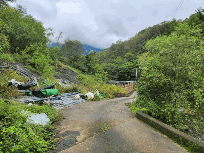 충청북도 제천시 한수면 송계리 920 전 경매 사진 26