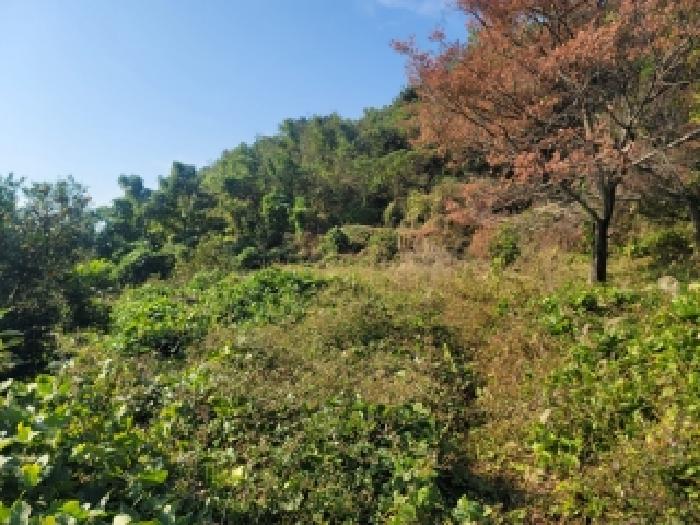 경상남도 통영시 광도면 덕포리 478 전 경매 사진 7