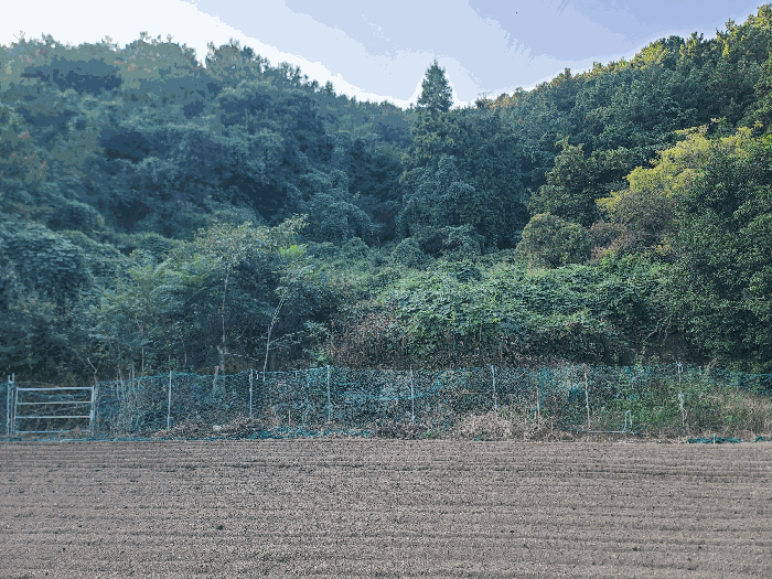 경상남도 통영시 광도면 덕포리 478 전 경매 사진 12