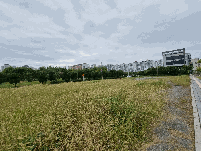전북특별자치도 군산시 미장동 501-1 대지 경매 사진 10