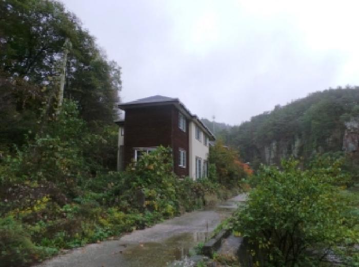 강원특별자치도 정선군 화암면 몰운리 176-5 외 1필지 임야 경매 사진 6
