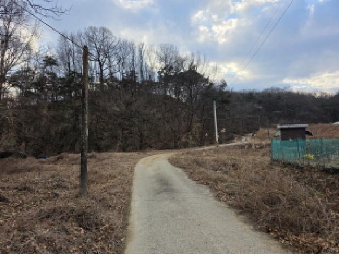 경상북도 성주군 월항면 지방리 502-2 외 7필지 답 경매 사진 2