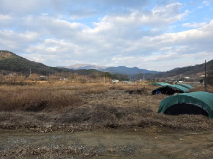 경상북도 성주군 월항면 지방리 502-2 외 7필지 답 경매 사진 13