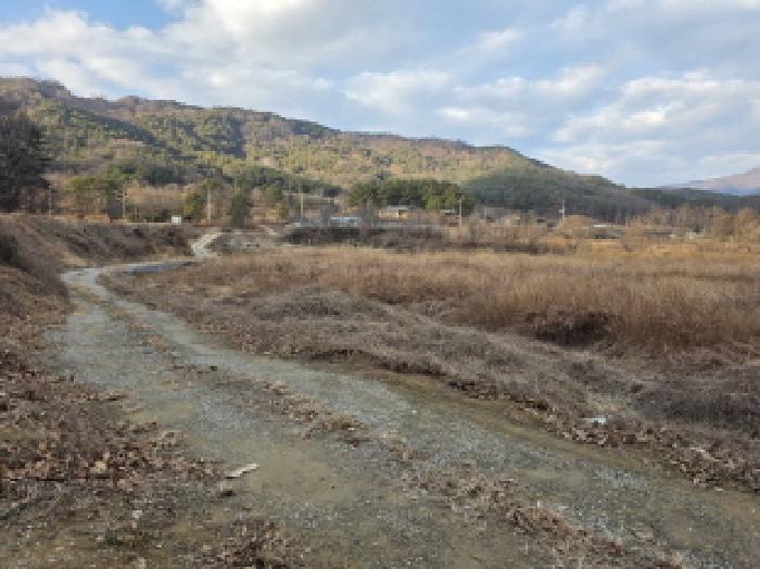 경상북도 성주군 월항면 지방리 502-2 외 7필지 답 경매 사진 14