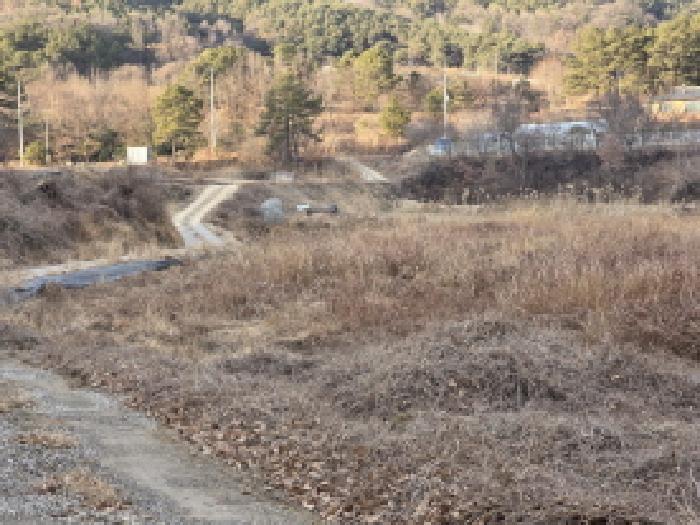 경상북도 성주군 월항면 지방리 502-2 외 7필지 답 경매 사진 16