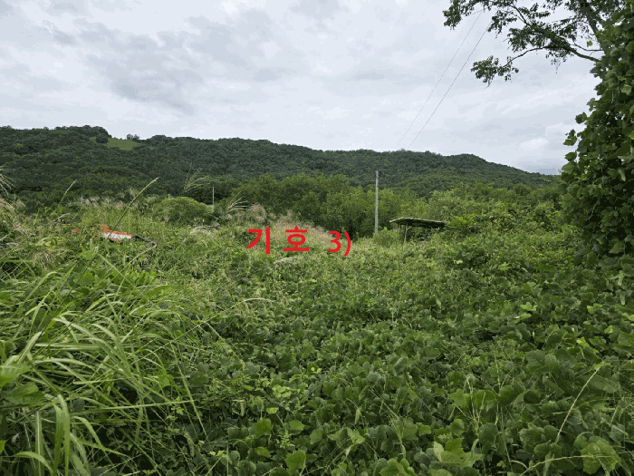 경상북도 성주군 월항면 지방리 502-2 외 7필지 답 경매 사진 20
