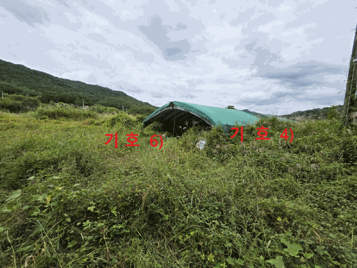 경상북도 성주군 월항면 지방리 502-2 외 7필지 답 경매 사진 22